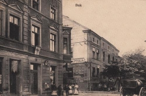 Buk apteka - Reprodukcja 36892