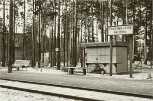 Podkowa Leśna - Reprodukcja 36946
