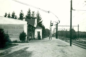 Podkowa Leśna - Reprodukcja 36947