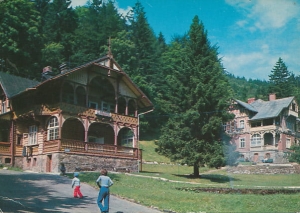 Międzygórze - 013209