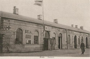 Biała Podlaska - Reprodukcja 36973