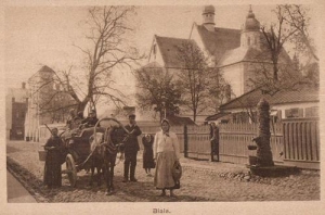 Biała Podlaska - Reprodukcja 36985