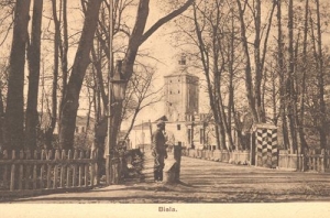 Biała Podlaska - Reprodukcja 36999