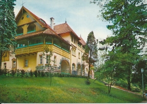 Polanica Zdrój - 013249
