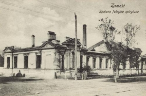 Zamość - Reprodukcja 37118