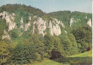 Ojcowski Park Narodowy - 013259