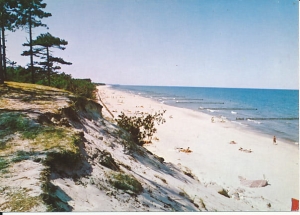 Brzeg morski - 013294