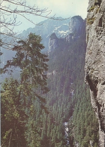 Tatry - 013303