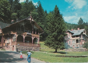 Międzygórze - 013323