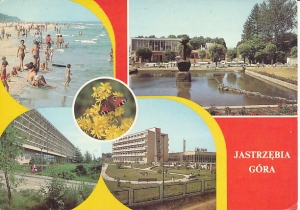 Jastrzębia Góra - 013327