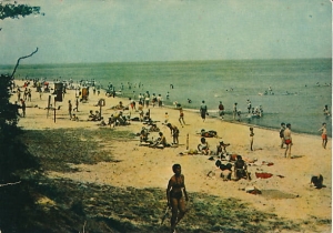Jastrzębia Góra - 013330