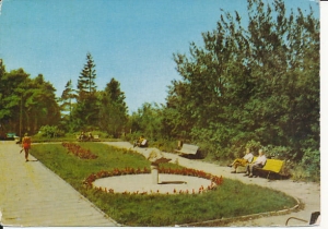 Jastrzębia Góra - 013332