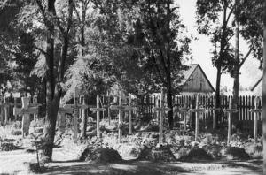 Radom - Reprodukcja 37142