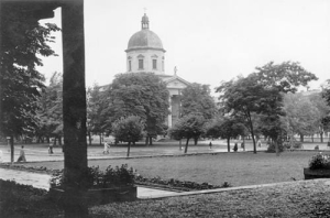 Radom - Reprodukcja 37153