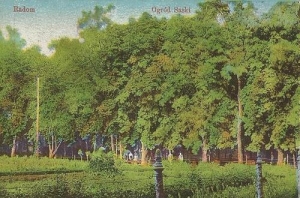 Radom - Reprodukcja 37245
