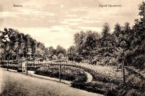 Radom - Reprodukcja 37247