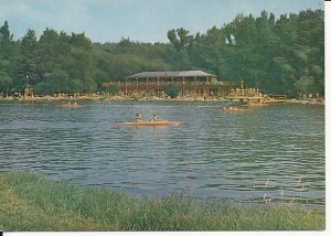 Pokrzywna - 013442