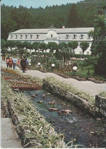 Kudowa Zdrój - 013713