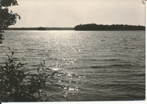 Jezioro Jasień - 013823