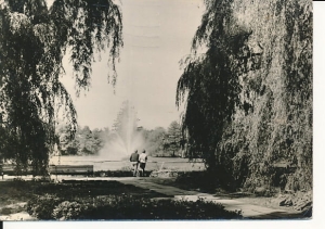 Kudowa Zdrój - 013859