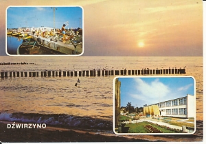 Dźwirzynno - 013900