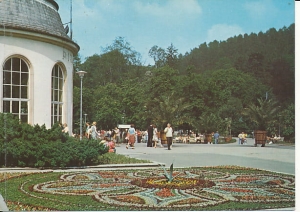 Kudowa - 014139