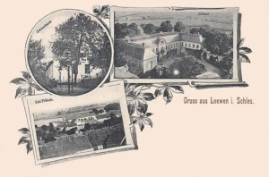 Lewin Brzeski - Reprodukcja 37328