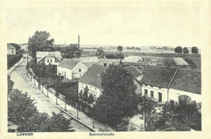 Lewin Brzeski - Reprodukcja 37342