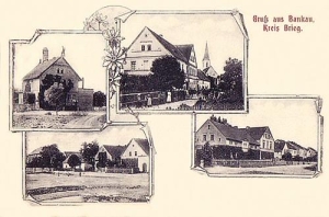 Bąków - Reprodukcja 37346