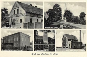 Bąków - Reprodukcja 37348