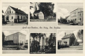 Bąków - Reprodukcja 37349