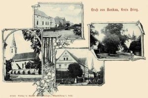 Bąków - Reprodukcja 37350