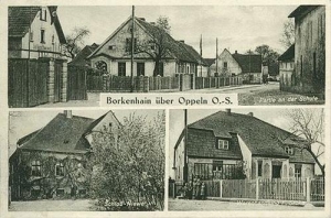 Borkowice - Reprodukcja 37354