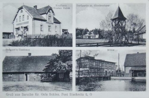 Borucice - Reprodukcja 37356