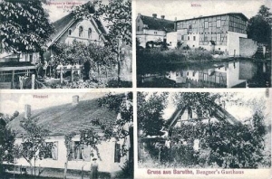 Borucice - Reprodukcja 37357