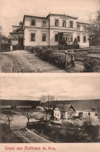 Brzezina - Reprodukcja 37361
