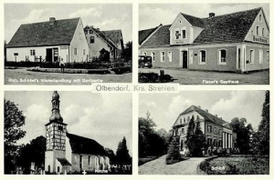Gnojna - Reprodukcja 37380