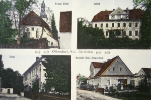 Gnojna - Reprodukcja 37381