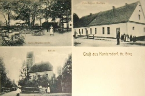 Kantorowice - Reprodukcja 37407