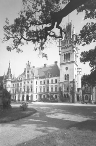 Kopice - Reprodukcja 37424