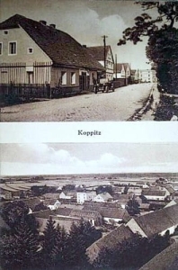 Kopice - Reprodukcja 37446