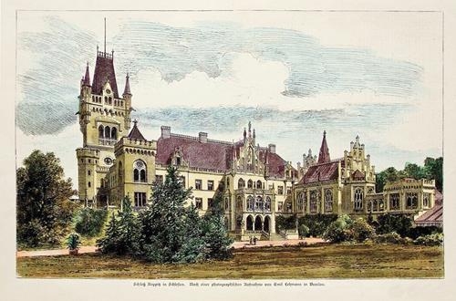 37456 (Copy).jpg