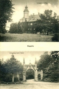 Kopice - Reprodukcja 37477