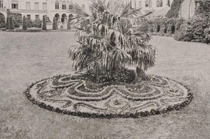 Kopice - Reprodukcja 37481