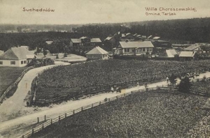 Suchedniów - Reprodukcja 37491