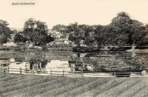 Suchedniów - Reprodukcja 37499