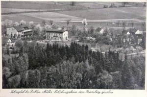 Sulistrowiczki - Reprodukcja 37523