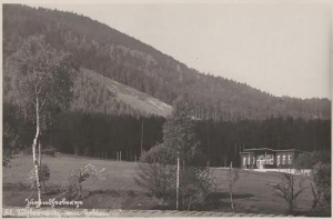 Sulistrowiczki - Reprodukcja 37532