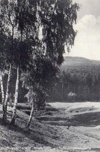 Sulistrowiczki - Reprodukcja 37542