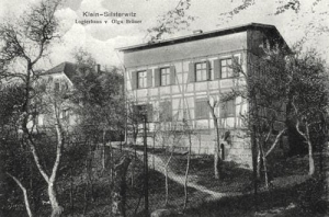 Sulistrowiczki - Reprodukcja 37546